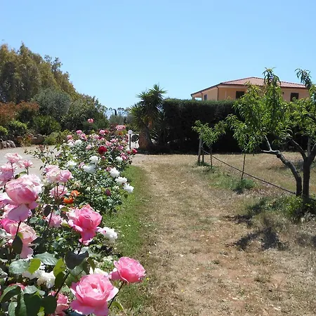 Bed And Breakfast Le Camelie-3